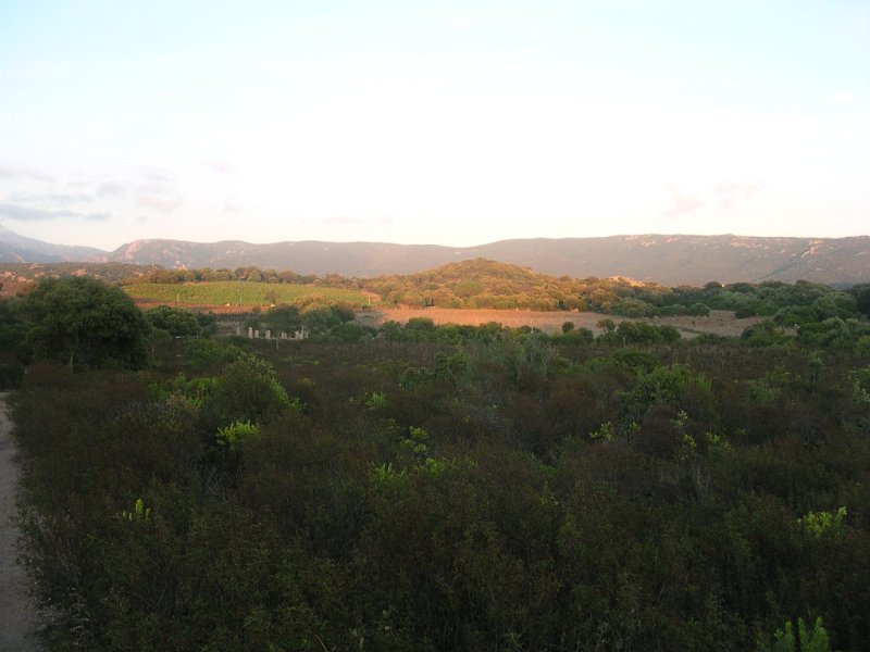 DSCN5597.JPG