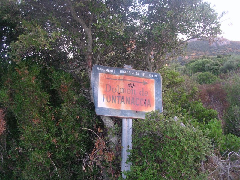 DSCN5599.JPG
