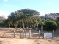 DSCN5583