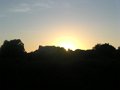 DSCN5598