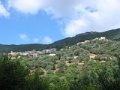 DSCN5407