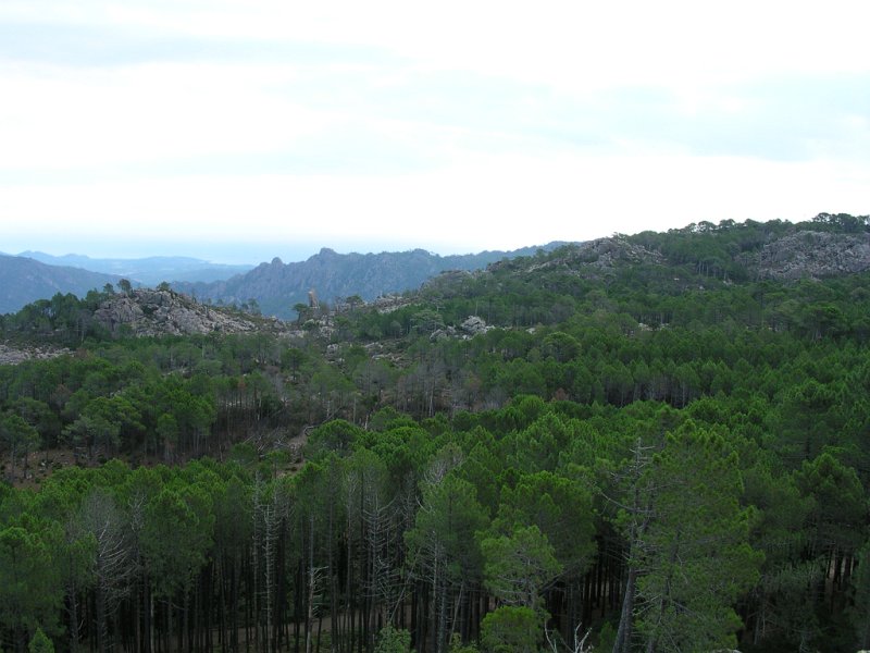 DSCN5869.JPG