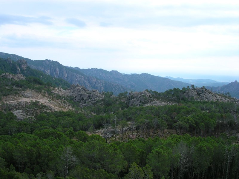 DSCN5870.JPG