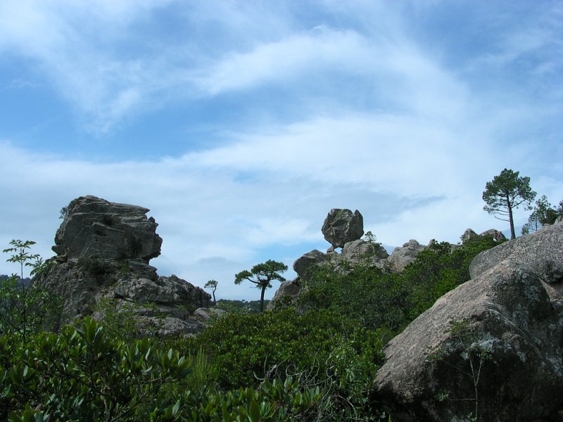 DSCN5884.JPG