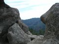 DSCN5878