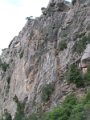 DSCN5882