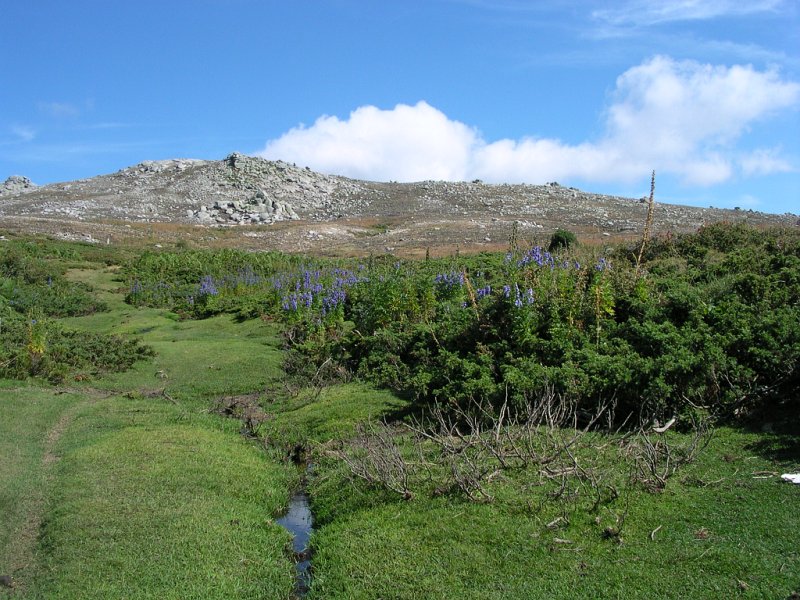 DSCN5897.JPG