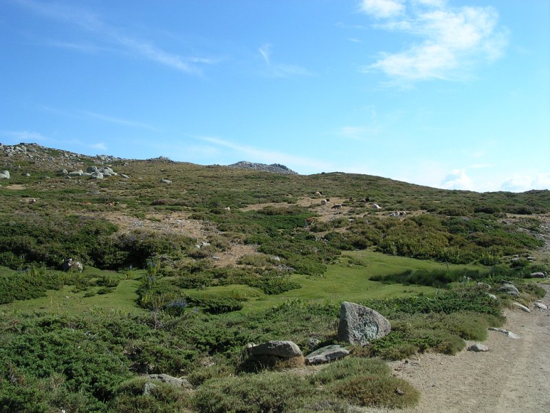 DSCN5903.JPG