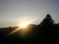 DSCN5917