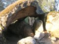 DSCN5432