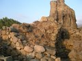 DSCN5445