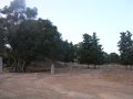 DSCN5448