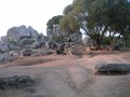 DSCN5450