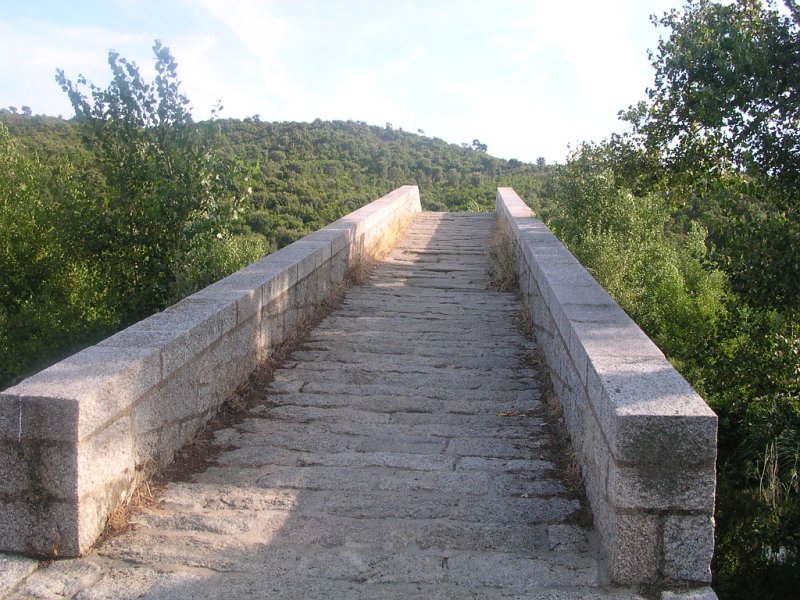 DSCN5571.JPG
