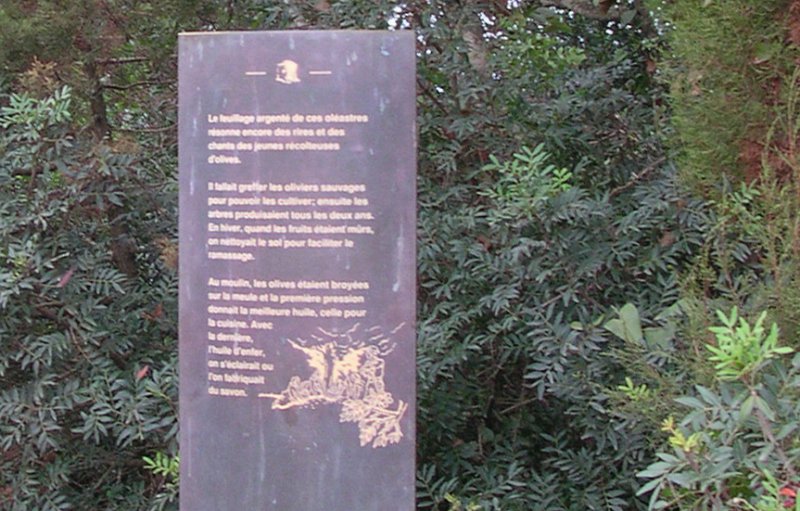 DSCN5518.JPG