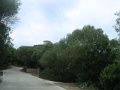 DSCN5511