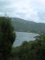 DSCN5515