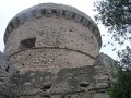DSCN5521