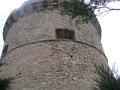 DSCN5523
