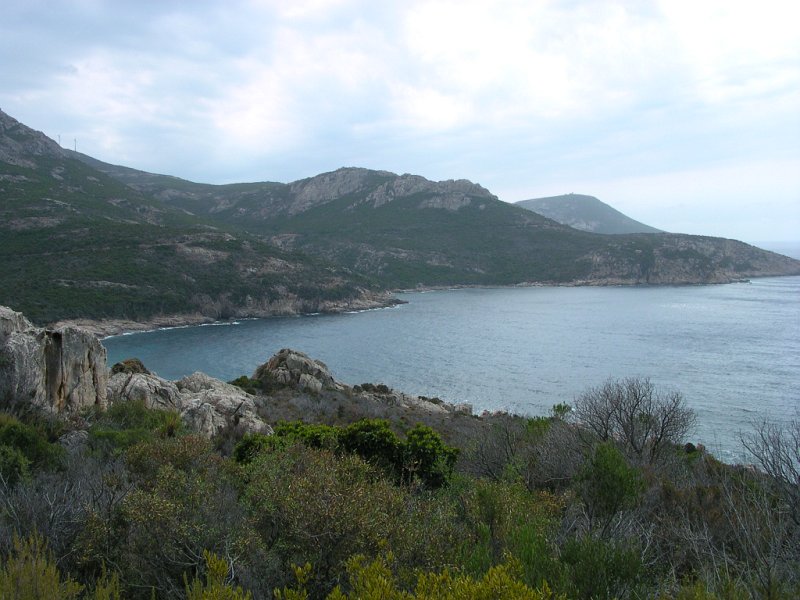 DSCN5295.JPG - GOLFE DE GIROLATA