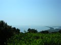 DSCN5279