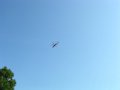 DSCN5294