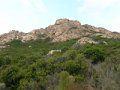 DSCN5297