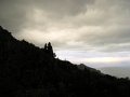 DSCN5383