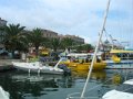 DSCN5464