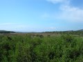 DSCN5770