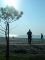 DSCN5967