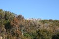 IMG_0115