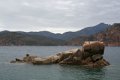 IMG_0201