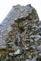 IMG_0009_2_2_3