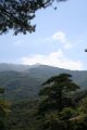 IMG_0080_2_2_2_2