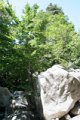 IMG_0085_2_2_2_2