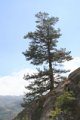 IMG_0108_2_2_2_2