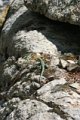 IMG_0112_2_2_2_2