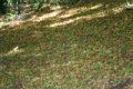 IMG_0124_2_2_2_2