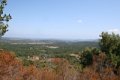 IMG_0043_4