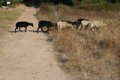 IMG_0149_2_3