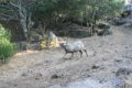 IMG_0204_2_3