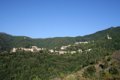 IMG_0162_2_2_2_2