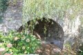 IMG_0204_2_2_2_2