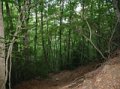 IMG_0226_2_2_2_3