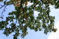 IMG_0265_2_3