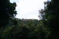 IMG_0295_2_3