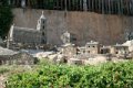 IMG_0338_2_2