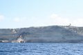 IMG_0055