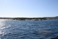 IMG_0257